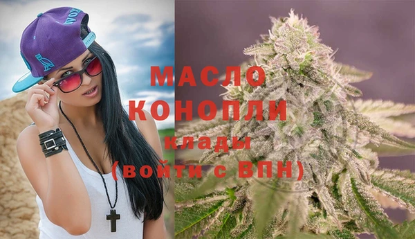 дмт Пестово