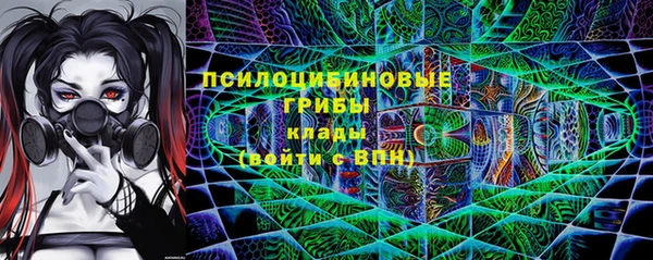 Альфа ПВП Пересвет