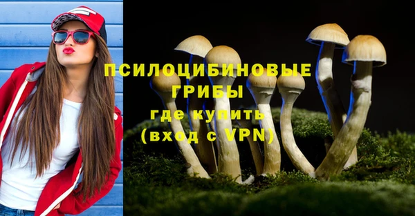 прущие крисы Алексеевка