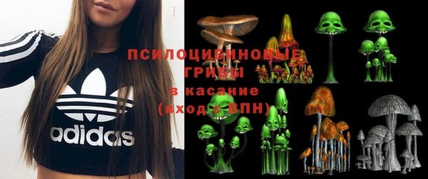 прущие крисы Алексеевка